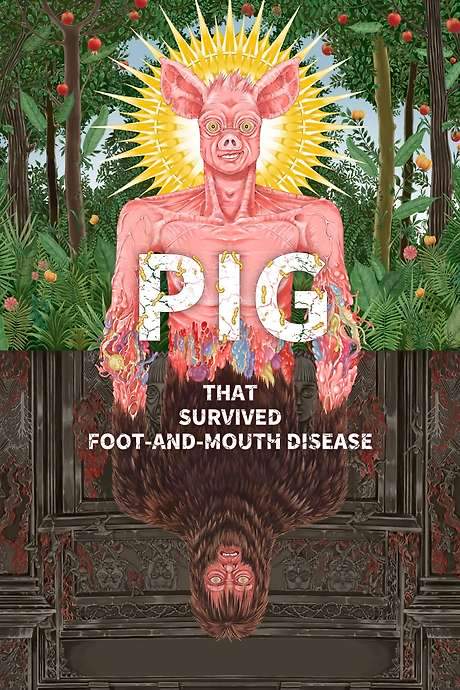 Pig that Survived Foot-and-Mouth Disease